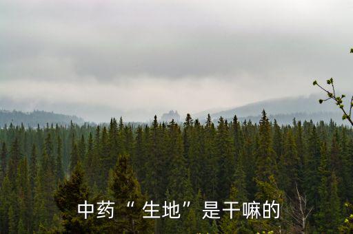 中藥生地,地黃地黃同屬一種藥兩種功效不同