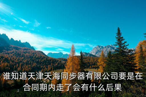 誰知道天津天海同步器有限公司要是在合同期內走了會有什么后果