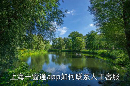 上海一窗通app如何聯(lián)系人工客服