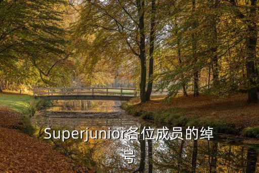 金英云,李特外號(hào):寶石美人，蟑螂猴子金正云