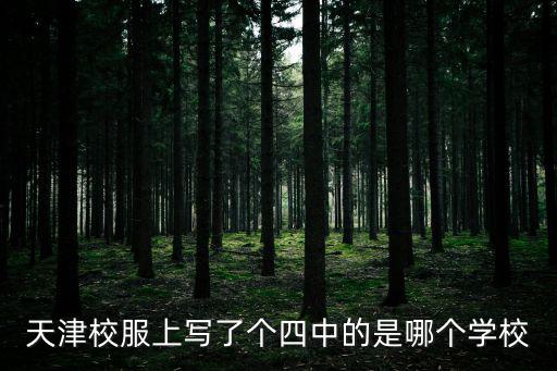 天津市四中位置，天津市第四五中學在哪兒