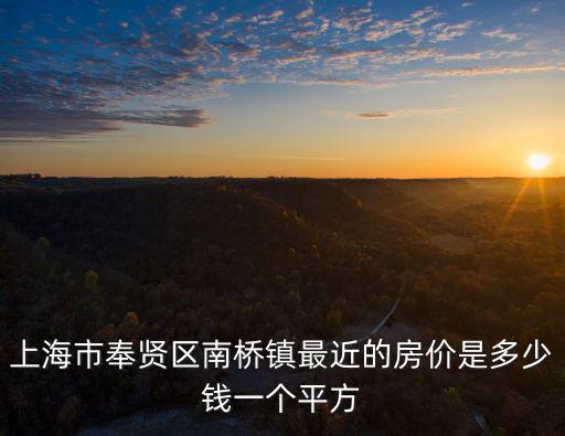 上海市奉賢區南橋鎮最近的房價是多少錢一個平方
