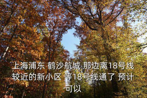 上海浦東 鶴沙航城 那邊離18號線較近的新小區 等18號線通了 預計可以