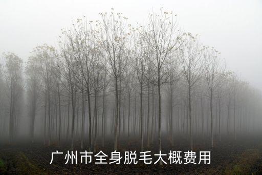 廣州市全身脫毛大概費用