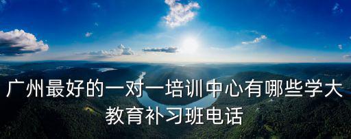 廣州最好的一對一培訓中心有哪些學大教育補習班電話