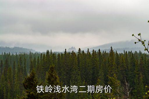 鐵嶺淺水灣二期房價