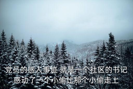 黨員的感人事跡 就是一個社區(qū)的書記感動了一個小偷讓那個小偷走上