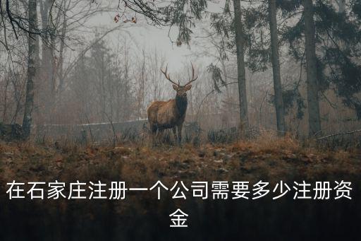 石家莊注冊(cè)公司流程及費(fèi)用標(biāo)準(zhǔn)，石家莊注冊(cè)公司流程及大致費(fèi)用