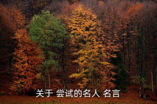 勇于嘗試的名言,失敗是痛苦但更糟糕是永遠(yuǎn)不要去嘗試