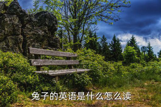 兔子的英語是什么怎么讀