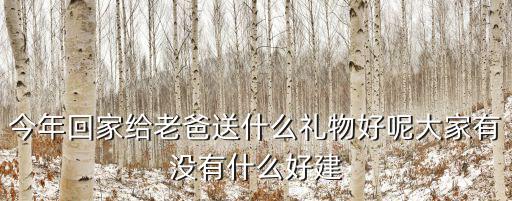 今年回家給老爸送什么禮物好呢大家有沒有什么好建