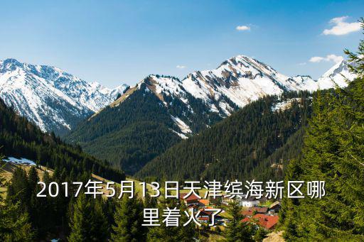 2017年5月13日天津繽海新區(qū)哪里著火了