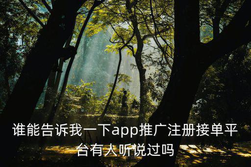 誰能告訴我一下app推廣注冊接單平臺有人聽說過嗎