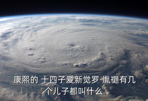  康熙的 十四子愛新覺羅·胤禵有幾個兒子都叫什么