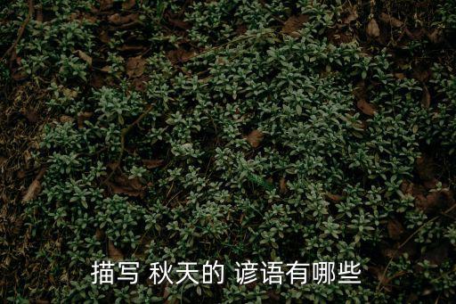 秋天的諺語,秋天收藏不如散白露夜宿舍偷聽秋雨