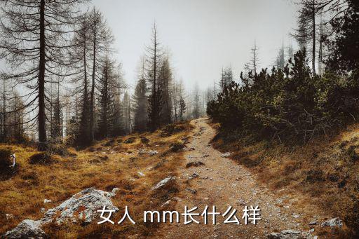女人 mm長什么樣