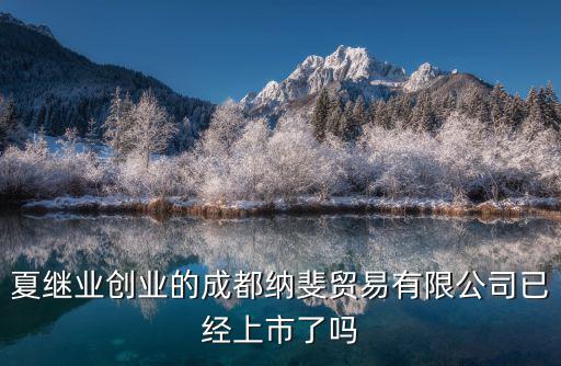 夏繼業創業的成都納斐貿易有限公司已經上市了嗎