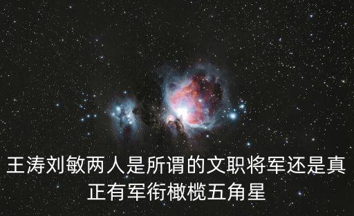 王濤劉敏兩人是所謂的文職將軍還是真正有軍銜橄欖五角星