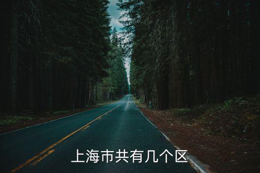 上海市區(qū)區(qū)域圖，中國上海地圖