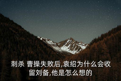  刺殺 曹操失敗后,袁紹為什么會收留劉備,他是怎么想的