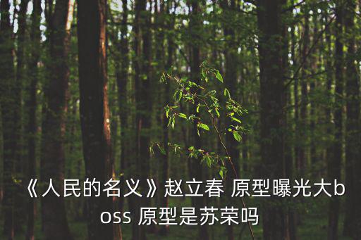 《人民的名義》趙立春 原型曝光大boss 原型是蘇榮嗎