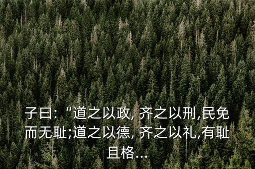 子曰:“道之以政, 齊之以刑,民免而無恥;道之以德, 齊之以禮,有恥且格...