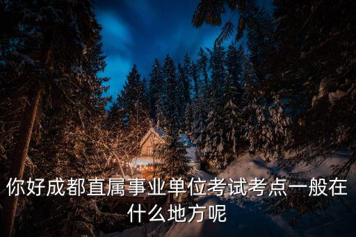 2020成都市屬事業單位考場，你好成都直屬事業單位考試考點一般在什么地方呢