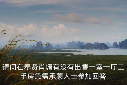 請問在奉賢肖塘有沒有出售一室一廳二手房急需承蒙人士參加回答