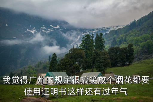 我覺得廣州的規(guī)定很搞笑放個煙花都要使用證明書這樣還有過年氣