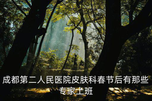 成都市第二人民醫院皮膚科專家門診，成都市第二人民醫院 皮膚科