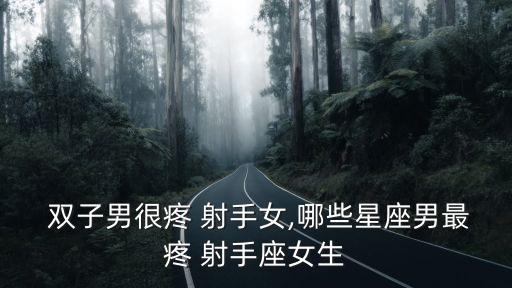 雙子男很疼 射手女,哪些星座男最疼 射手座女生