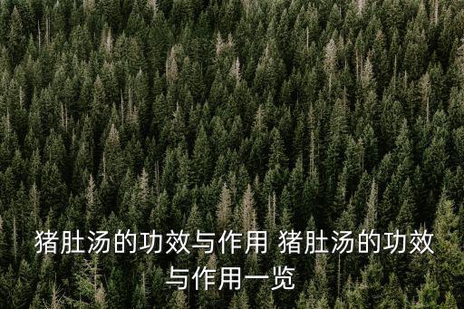  豬肚湯的功效與作用 豬肚湯的功效與作用一覽