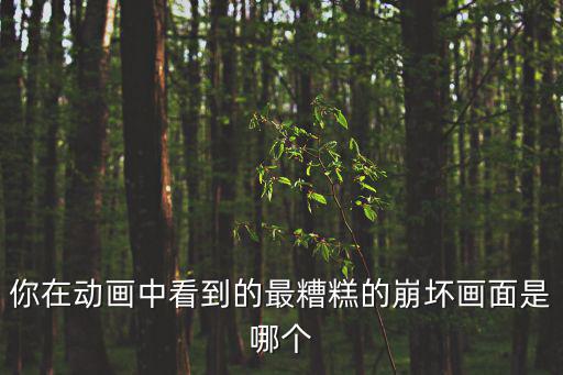 你在動畫中看到的最糟糕的崩壞畫面是哪個
