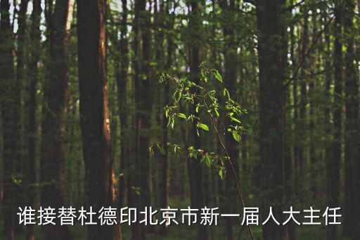 誰接替杜德印北京市新一屆人大主任