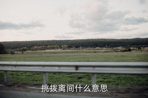  挑撥離間什么意思