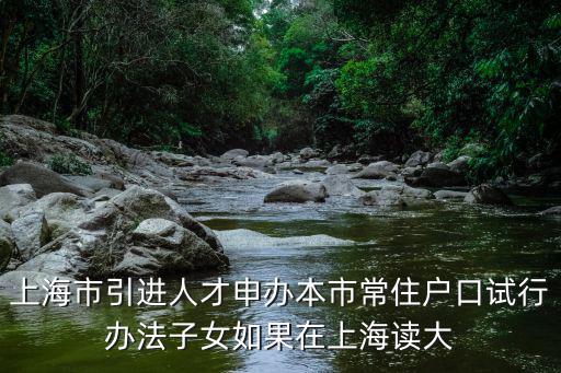 上海人才引進子女隨遷落戶，上海市引進人才申辦本市常住戶口試行辦法子女如果在上海讀大