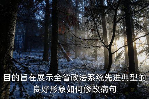 目的旨在展示全省政法系統先進典型的良好形象如何修改病句