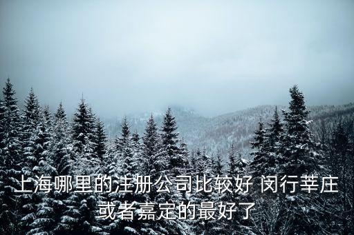 上海哪里的注冊公司比較好 閔行莘莊或者嘉定的最好了