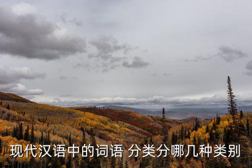 詞的分類,現代漢語分為兩類詞類