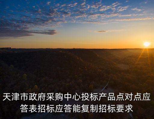 天津市政府采購中心投標產品點對點應答表招標應答能復制招標要求