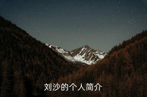 劉沙的個人簡介