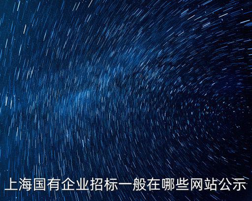 上海國有企業招標一般在哪些網站公示