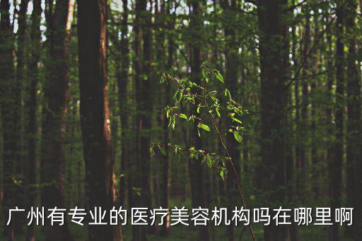 廣州有專業的醫療美容機構嗎在哪里啊