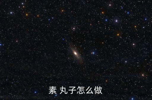 素 丸子怎么做
