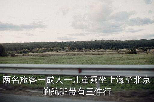 兩名旅客一成人一兒童乘坐上海至北京的航班帶有三件行