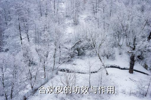 合歡皮,合歡皮膚有毒不宜常吃或導致妊娠死胎