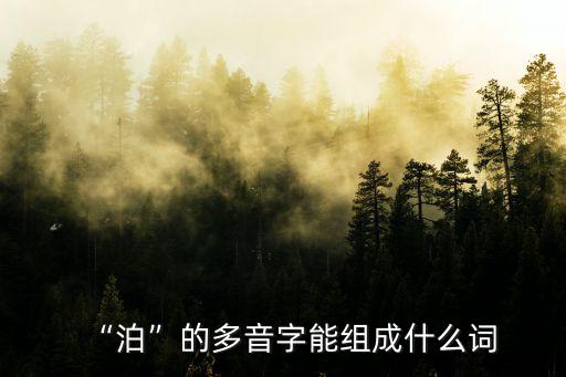 泊可以組什么詞,第二集:冷漠淡泊名利不看重