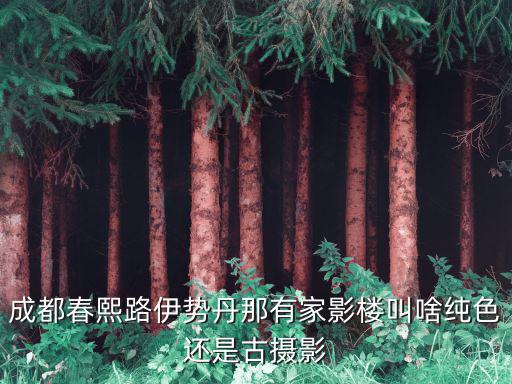 成都春熙路伊勢丹那有家影樓叫啥純色還是古攝影