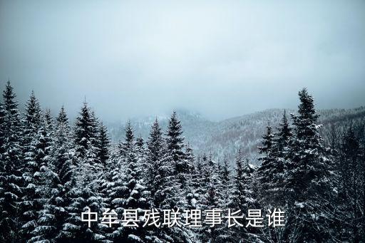 中牟縣殘聯(lián)理事長(zhǎng)是誰(shuí)