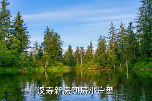 漢壽新房現房小戶型